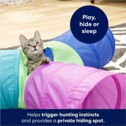 Frisco Foldable Play Tri-Tunnel Cat Toy & Frisco Butterfly Cat Tracks Cat Toy -Cat Supplies 933438 PT4. AC SS1800 V1692305507