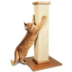 SmartCat The Ultimate 32-in Sisal Cat Scratching Post & SmartCat Bootsie's Combination Scratcher -Cat Supplies 933614 PT1. AC SS1800 V1692303356