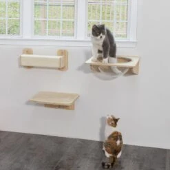 Coziwow 3 Pieces Wall Mounted Cat Perch Set -Cat Supplies 941694 PT5. AC SS1800 V1700859193