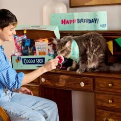 Goody Box Birthday Cat Toys, Treats & Collar & PetCakes Turkey Flavor Microwavable Birthday Cake Mix Kit With Fish Shaped Pan Cat Treats, 5-oz Bag -Cat Supplies 947294 PT4. AC SS1800 V1693925027