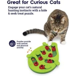 Nina Ottosson By Outward Hound Buggin' Out Puzzle & Play Cat Toy & Doc & Phoebe's Cat Co. Indoor Hunting Cat Feeder Kit 15 Nina Ottosson By Outward Hound Buggin' Out Puzzle & Play Cat Toy & Doc & Phoebe's Cat Co. Indoor Hunting Cat Feeder Kit -Cat Supplies 947542 PT4. AC SS1800 V1693925091