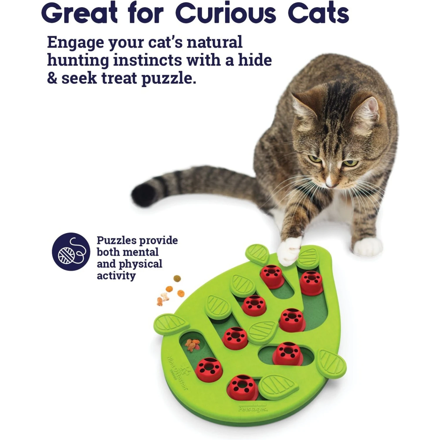 Nina Ottosson By Outward Hound Buggin' Out Puzzle & Play Cat Toy & Doc & Phoebe's Cat Co. Indoor Hunting Cat Feeder Kit 7 Nina Ottosson By Outward Hound Buggin' Out Puzzle & Play Cat Toy & Doc & Phoebe's Cat Co. Indoor Hunting Cat Feeder Kit - Image 5