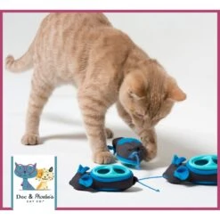 Nina Ottosson By Outward Hound Buggin' Out Puzzle & Play Cat Toy & Doc & Phoebe's Cat Co. Indoor Hunting Cat Feeder Kit 19 Nina Ottosson By Outward Hound Buggin' Out Puzzle & Play Cat Toy & Doc & Phoebe's Cat Co. Indoor Hunting Cat Feeder Kit -Cat Supplies 947542 PT8. AC SS1800 V1693600221