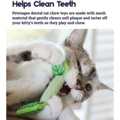 Catstages Fresh Breath Mint Stick Cat Chew Toy & Catstages Dental Kitty Chew Wheel Cat Chew Toy -Cat Supplies 961990 PT3. AC SS1800 V1694784009