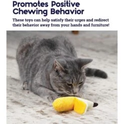 Catstages Dental Banana Cat Chew Toy With Catnip & Catstages Fresh Breath Mint Stick Cat Chew Toy 15 Catstages Dental Banana Cat Chew Toy With Catnip & Catstages Fresh Breath Mint Stick Cat Chew Toy -Cat Supplies 962038 PT4. AC SS1800 V1694783952