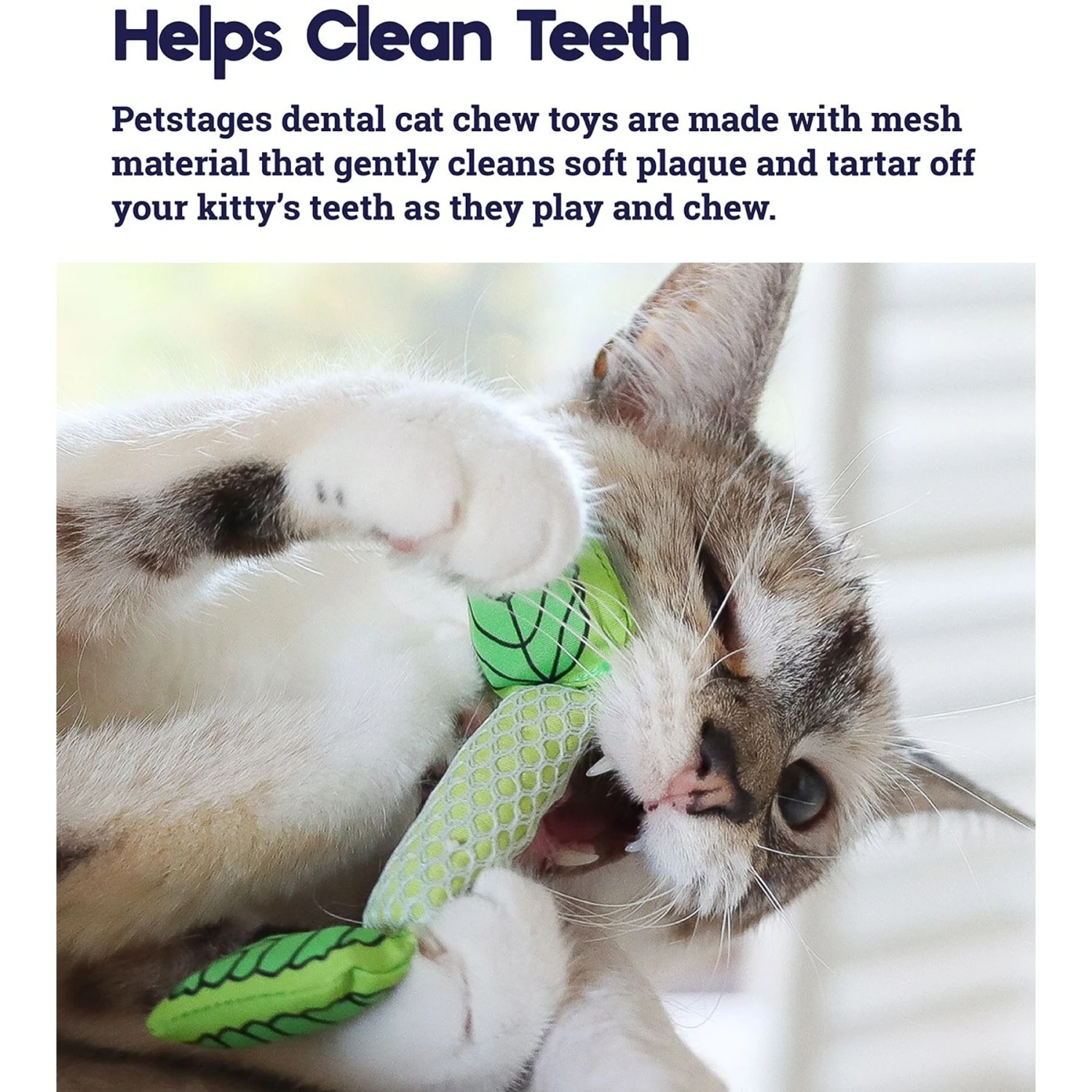 Catstages Dental Banana Cat Chew Toy With Catnip & Catstages Fresh Breath Mint Stick Cat Chew Toy 10 Catstages Dental Banana Cat Chew Toy With Catnip & Catstages Fresh Breath Mint Stick Cat Chew Toy - Image 8