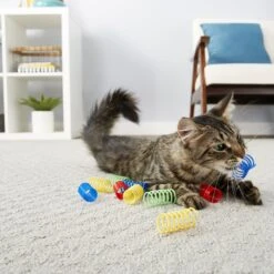Frisco Colorful Springs Cat Toy & Frisco Bird With Feathers Teaser Wand Cat Toy With Catnip 15 Frisco Colorful Springs Cat Toy & Frisco Bird With Feathers Teaser Wand Cat Toy With Catnip -Cat Supplies 962126 PT4. AC SS1800 V1694782923