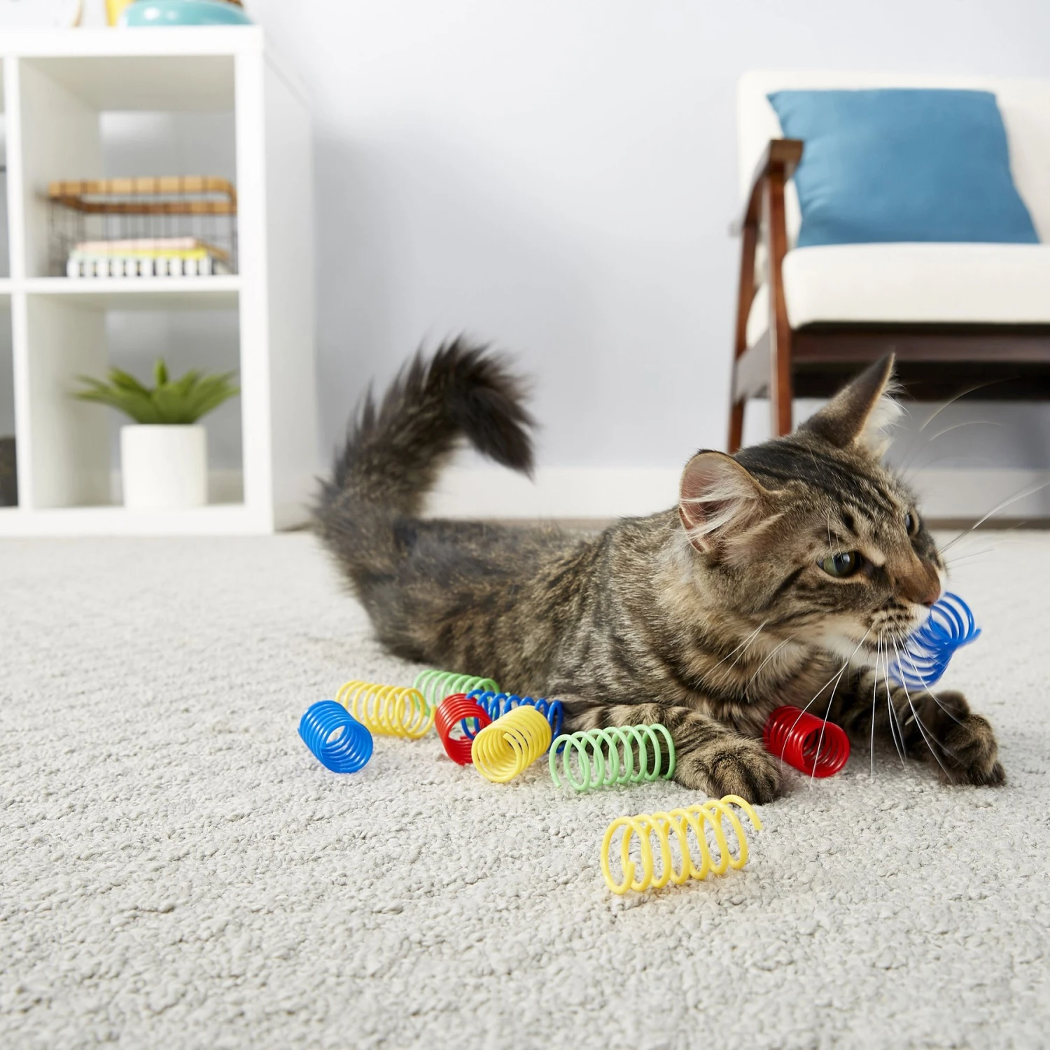Frisco Colorful Springs Cat Toy & Frisco Bird With Feathers Teaser Wand Cat Toy With Catnip 7 Frisco Colorful Springs Cat Toy & Frisco Bird With Feathers Teaser Wand Cat Toy With Catnip - Image 5