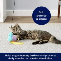 Frisco Colorful Springs Cat Toy & Frisco Bird With Feathers Teaser Wand Cat Toy With Catnip 19 Frisco Colorful Springs Cat Toy & Frisco Bird With Feathers Teaser Wand Cat Toy With Catnip -Cat Supplies 962126 PT8. AC SS1800 V1694782921