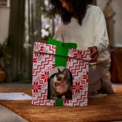 Frisco Holiday Gift Box Cardboard Cat House & Frisco Holiday Santa's Workshop Cardboard Cat House -Cat Supplies 986158 PT4. AC SS1800 V1698257737