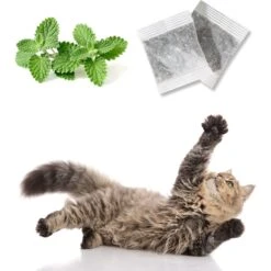 Pet Fit For Life Floppy Fish Cat Toy, Multicolor, Medium, 2 Count 11 Pet Fit For Life Floppy Fish Cat Toy, Multicolor, Medium, 2 Count -Cat Supplies 987118 PT4. AC SS1800 V1699648333